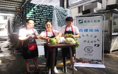 創(chuàng)意直播帶貨,本期專欄：蘭州高原夏菜！